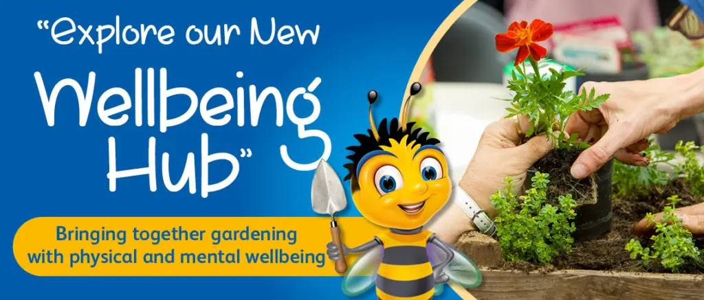 WebBanner1140x487px Wellbeing GB